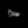 Flora Obscura - Image 2