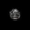 Flora Obscura - Image 3