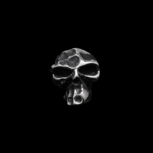 Withered Visage