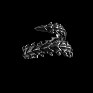 Scorpion Spine